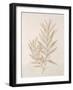 Botanicals Series Blue VI-Rikki Drotar-Framed Giclee Print