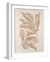 Botanicals Series Blue VII-Rikki Drotar-Framed Giclee Print