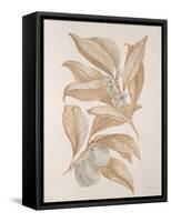 Botanicals Series Blue VII-Rikki Drotar-Framed Stretched Canvas