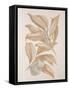 Botanicals Series Blue VII-Rikki Drotar-Framed Stretched Canvas