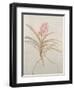 Botanicals X-Rikki Drotar-Framed Giclee Print