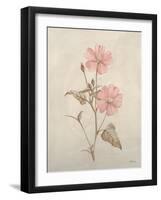 Botanicals XI-Rikki Drotar-Framed Giclee Print
