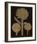 Botanicus - Artichokes-Maria Mendez-Framed Giclee Print