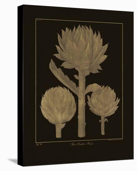 Botanicus - Artichokes-Maria Mendez-Stretched Canvas