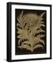 Botanicus - Cardoon-Maria Mendez-Framed Giclee Print