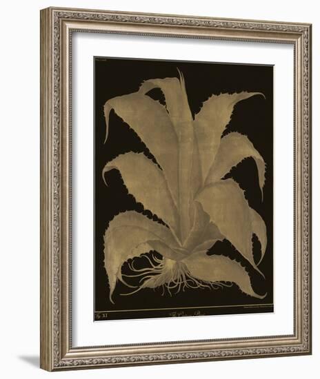 Botanicus - Century Plant-Maria Mendez-Framed Giclee Print