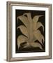Botanicus - Century Plant-Maria Mendez-Framed Giclee Print