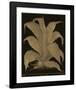 Botanicus - Century Plant-Maria Mendez-Framed Giclee Print