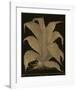 Botanicus - Century Plant-Maria Mendez-Framed Giclee Print