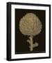 Botanicus - Italian Artichoke-Maria Mendez-Framed Giclee Print