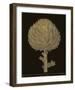 Botanicus - Italian Artichoke-Maria Mendez-Framed Giclee Print