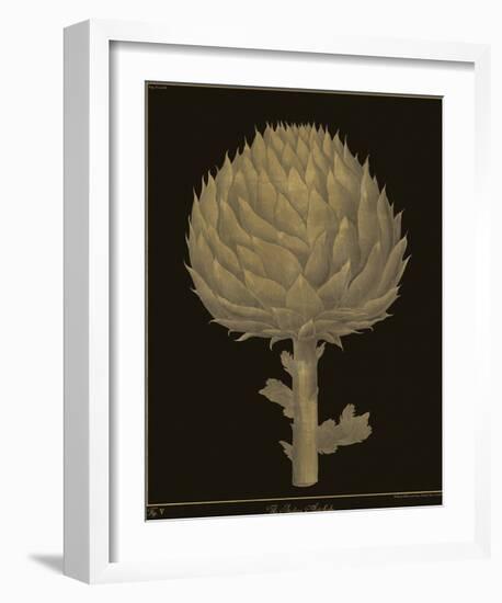 Botanicus - Italian Artichoke-Maria Mendez-Framed Giclee Print