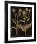 Botanicus - Nodding Thistle-Maria Mendez-Framed Giclee Print