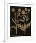 Botanicus - Nodding Thistle-Maria Mendez-Framed Giclee Print