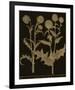 Botanicus - Nodding Thistle-Maria Mendez-Framed Giclee Print