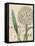 Botanique Bleu II Vintage-Wild Apple Portfolio-Framed Stretched Canvas
