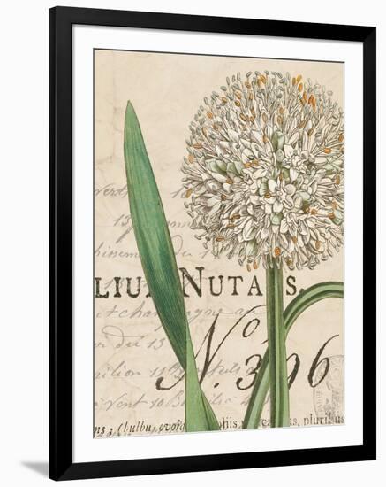 Botanique Bleu II Vintage-Wild Apple Portfolio-Framed Art Print