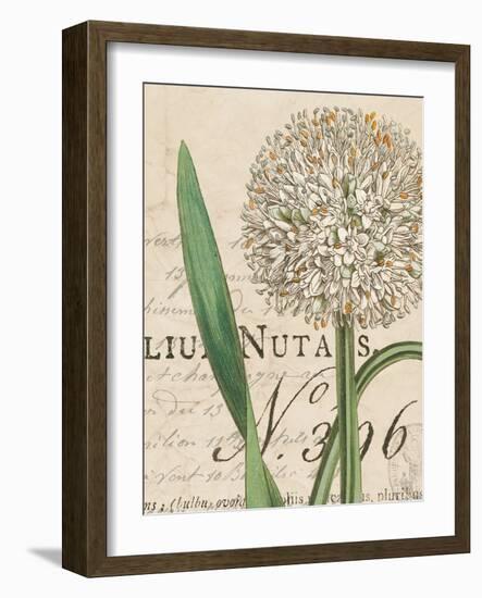 Botanique Bleu II Vintage-Wild Apple Portfolio-Framed Art Print