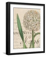 Botanique Bleu II Vintage-Wild Apple Portfolio-Framed Art Print