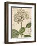 Botanique Bleu IV Vintage-Wild Apple Portfolio-Framed Art Print