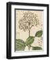 Botanique Bleu IV Vintage-Wild Apple Portfolio-Framed Art Print