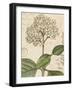 Botanique Bleu IV Vintage-Wild Apple Portfolio-Framed Art Print