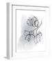 Botanique en Gris 1-Bronwyn Baker-Framed Art Print