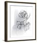 Botanique en Gris 1-Bronwyn Baker-Framed Art Print