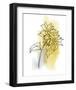 Botanique en Gris 2-Bronwyn Baker-Framed Art Print