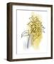 Botanique en Gris 2-Bronwyn Baker-Framed Art Print