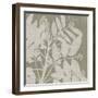 Botanique I-Maria Mendez-Framed Giclee Print