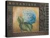 Botanique I-Kimberly Poloson-Stretched Canvas