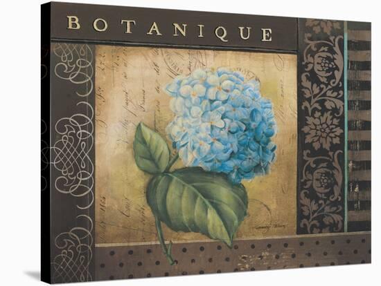 Botanique I-Kimberly Poloson-Stretched Canvas