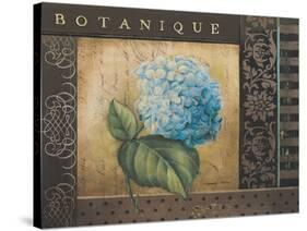 Botanique I-Kimberly Poloson-Stretched Canvas