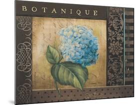 Botanique I-Kimberly Poloson-Mounted Art Print