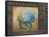 Botanique I-Kimberly Poloson-Framed Stretched Canvas