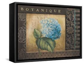 Botanique I-Kimberly Poloson-Framed Stretched Canvas