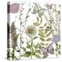 Botanique Refresh 2-Color Bakery-Stretched Canvas