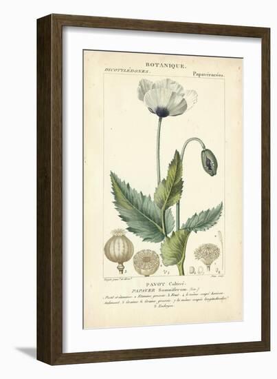 Botanique Study in Lavender II-Turpin-Framed Art Print