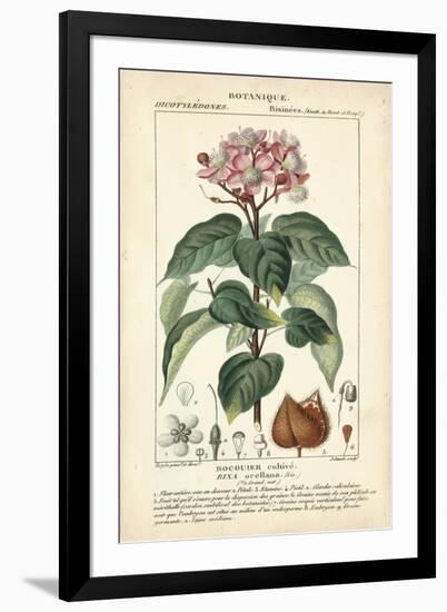 Botanique Study in Pink I-Turpin-Framed Art Print