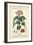 Botanique Study in Pink I-Turpin-Framed Art Print