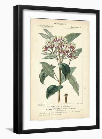 Botanique Study in Pink II-Turpin-Framed Art Print