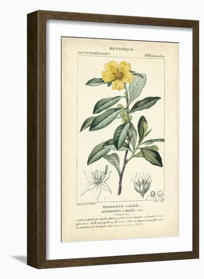 Botanique Study in Yellow I-Turpin-Framed Art Print