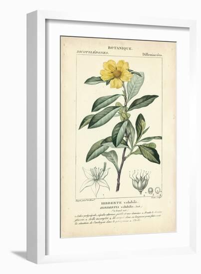 Botanique Study in Yellow I-Turpin-Framed Art Print