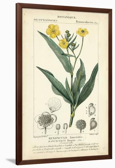 Botanique Study in Yellow III-Turpin-Framed Art Print