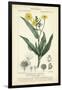 Botanique Study in Yellow III-Turpin-Framed Art Print