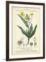 Botanique Study in Yellow III-Turpin-Framed Art Print