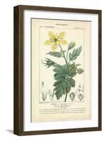 Botanique Study in Yellow IV-Turpin-Framed Art Print