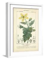 Botanique Study in Yellow IV-Turpin-Framed Art Print