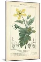 Botanique Study in Yellow IV-Turpin-Mounted Art Print